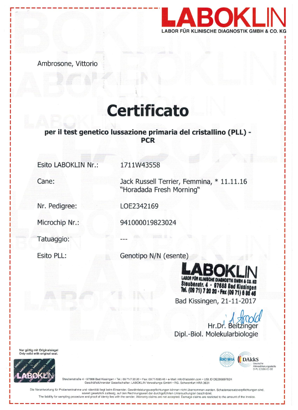 Certificazioni-Alis003