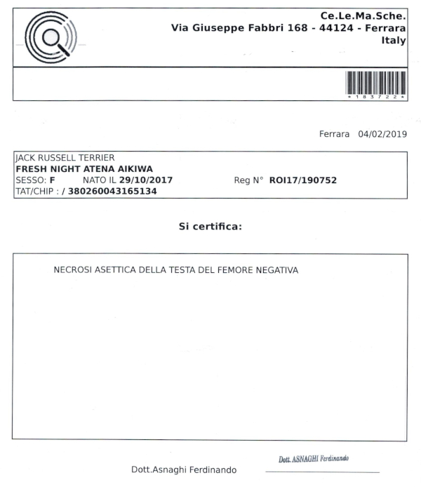 Certificazioni-Atena004