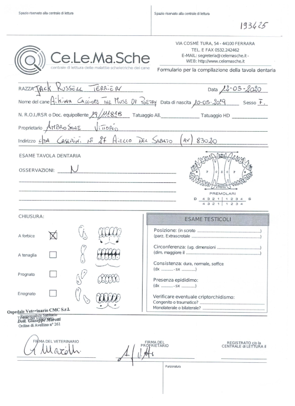 Certificazioni-Calliope The Mouse Of Poetry003