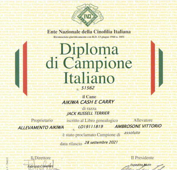 Diplomi-Cash e Carry007
