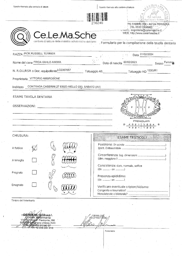 Certificazioni-Frida Kahlo006