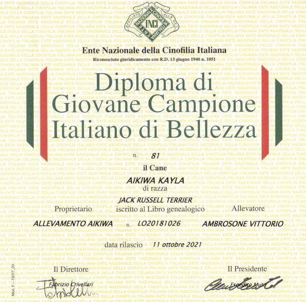 Diploma-Kayla001