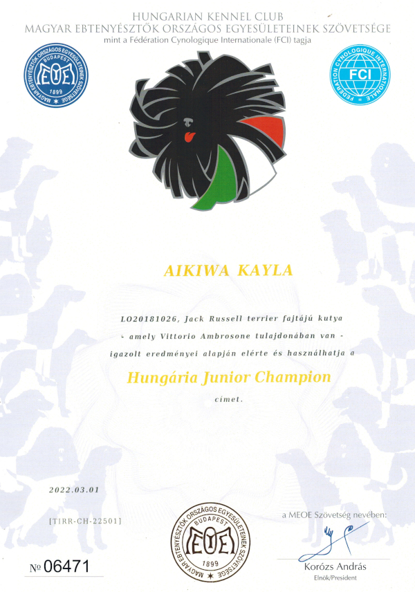 Diploma-Kayla005