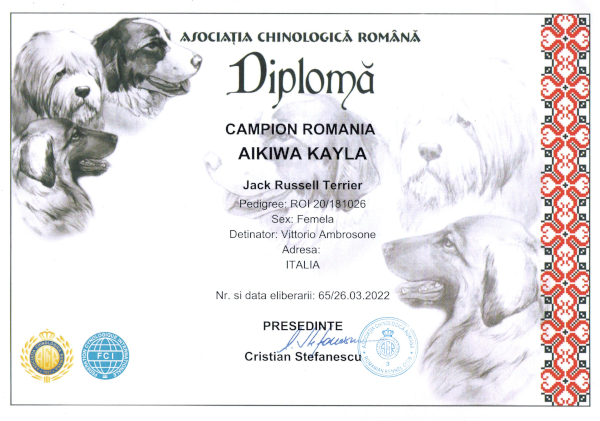 Diploma-Kayla006