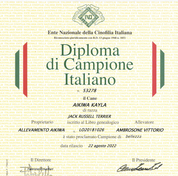 Diploma-Kayla009