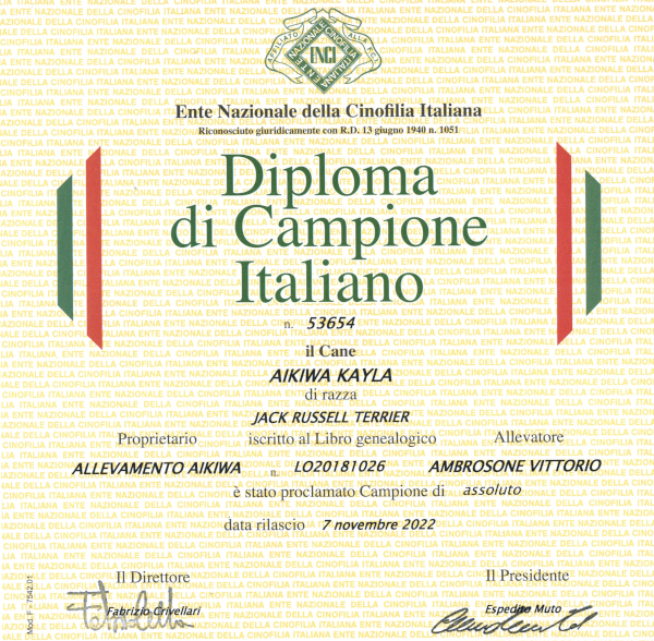 Diploma-Kayla010