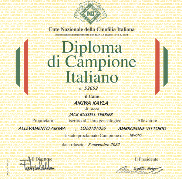 Diploma-Kayla011