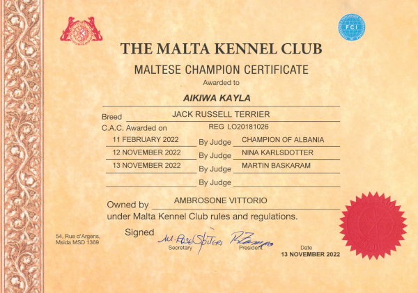 Diploma-Kayla012