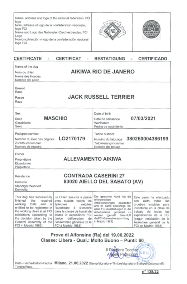 Diplomi-Rio de Janero-005